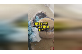 女朋友骗快递公司男朋友77万